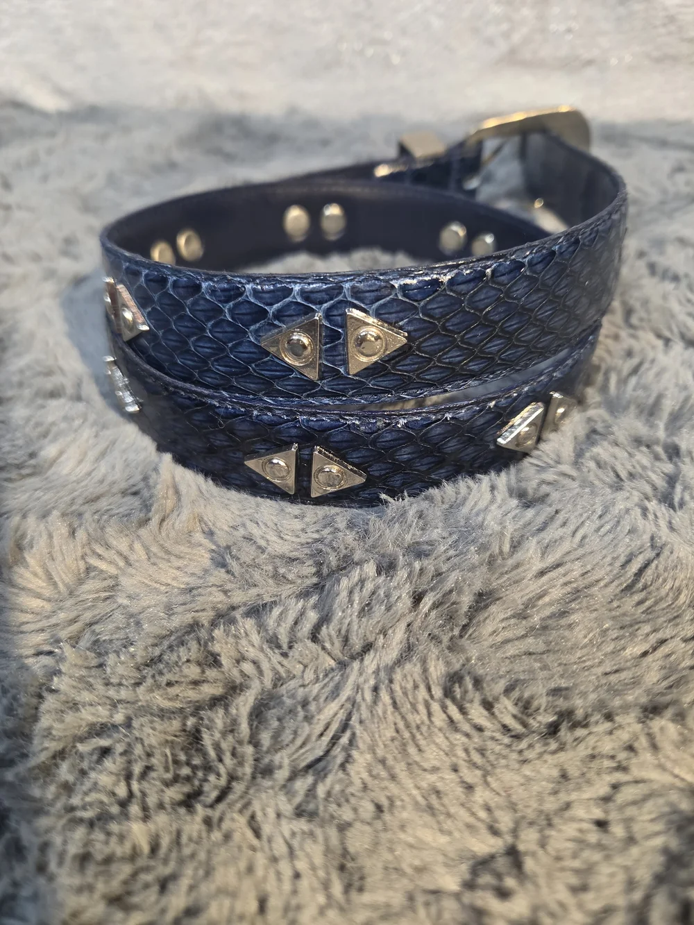 Lee Sands Snake Skin Blue  Leather Western Belt with Decorative Silver Buckle